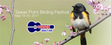 2017 Tawas Point Birding Festival - Carroll Broadcasting Inc.