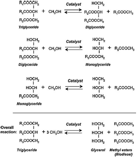 General Equation For The Transesterification Reaction Of Triglycerides