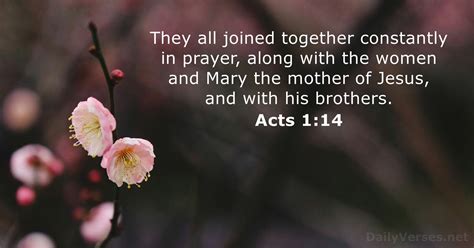 May 12 2024 Bible Verse Of The Day Acts 114