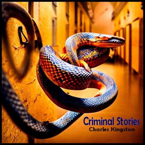 Criminal Stories - Ashby Navis & Tennyson Media Publisher