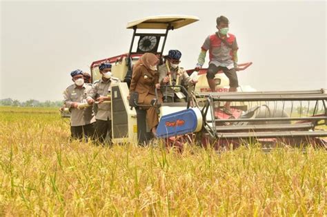 Puncak Hari Pangan Sedunia Mentan Syahrul Ajak Petani Pacu Produksi