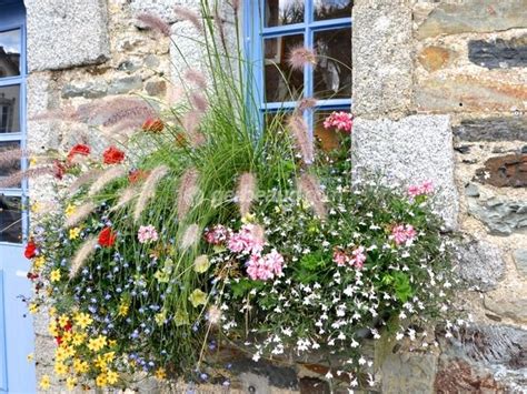 Jardini Res Peu Gourmandes En Eau Pour Le Plein Soleil