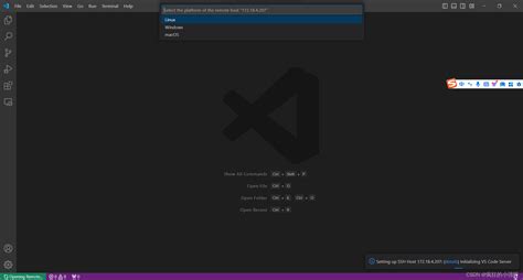 Vs Code远程连接服务器运行python程序vscode 远程运行python Csdn博客