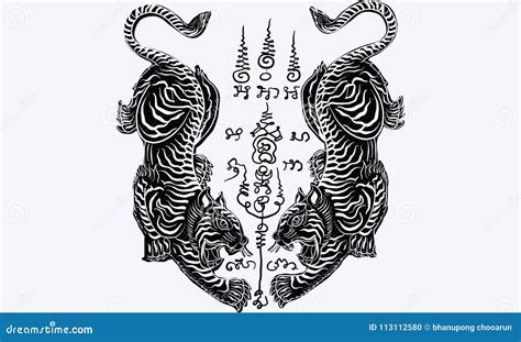 Thailand Traditional Tattoo Tiger Stock Vector Illustration Of