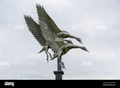 Ross On Wye Herefordshire England September 15 2019 Swan Sculpture