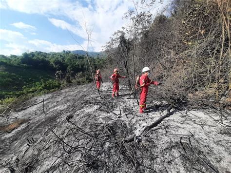 Sefor Más Del 70 De Los Incendios Forestales Ocurrieron En La