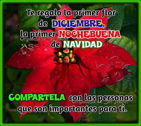 Albums 98 Pictures Imagenes De Nochebuena Y Navidad Updated