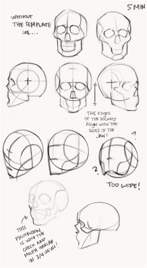 Kingcholera Learning How To Construct Simplified Heads In The October