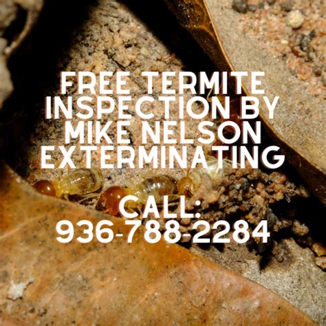 Pest And Termite Control Conroe Houston The Woodlands Spring Willis Tx