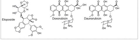 Structures Of Topoisomerase Inhibitors Structures Of The Topoisomerase