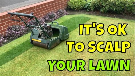 Mid Summer Lawn Tips Scalp Your Lawn This August Summer Lawn Lawn Summer