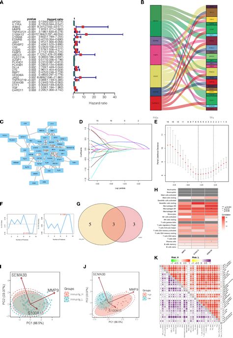 Frontiers Identification Of A Novel Immune Related Gene Signature For