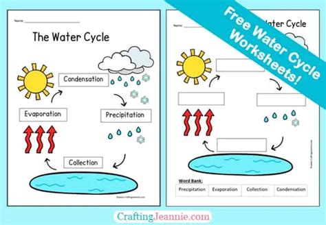 Water Cycle Worksheets Free Pdf Crafting Jeannie Worksheets Library