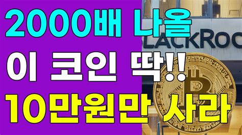 2000배 나올 이 코인 딱 10만원만 사라 리플 리플코인 시바이누코인 베이비도지코인 파이코인 도지코인 코인추천