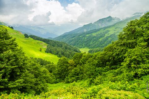 Альпийские луга. Долина семи озер. Абхазия: yujnyj51 — LiveJournal