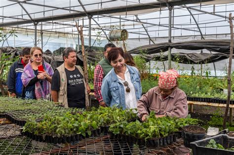 Fortalece Sedema Producción De Plantas Y árboles En Viveros