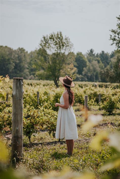 12 attraits à visiter sur La Route des vins de Brome Missisquoi Jaune