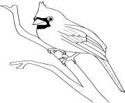 Coloriage Oiseau Maternelle Simple Et Facile Jecolorie