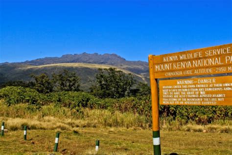 Mount Kenya National Park Safari Alderley Tours Travel