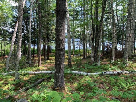 Lakefront Land For Sale In Maine Farm For Sale In Maine 210007