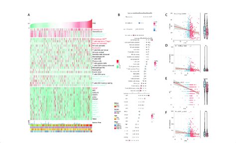 Immune Infiltration Analysis For Frs A Heat Map Showing The