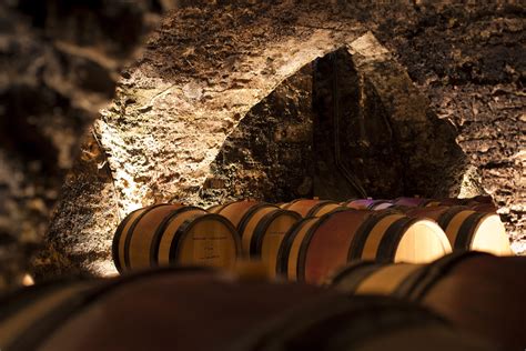 Safari Tours Beaune Tour Operator In Burgundy Gallery