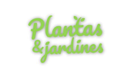 Cuna De Mois S Plantas Y Jardines En Teleamiga Teleamiga