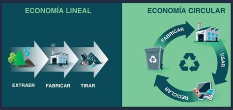 Econom A Lineal Y Econom A Circular Diferencias Y Ejemplos