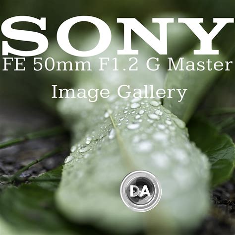 Sony Fe Mm F G Master Image Gallery Dustinabbott Net