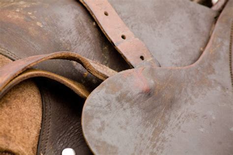190 Used Roping Saddles Stock Photos Pictures And Royalty Free Images