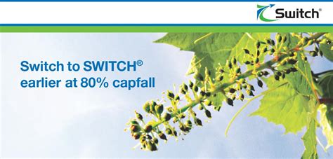 Switch To Switch Now