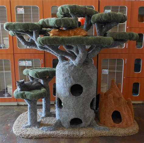 Hollywood Kitty Company Diy Cat Tree Cat Tree House Cat Playground