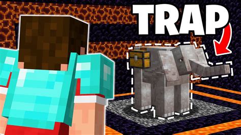 Roubaram O Maior Pet Desse Servidor De Minecraft Tralha City Youtube