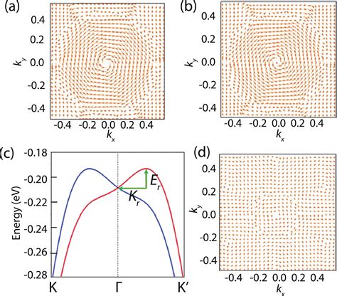 Janus Vxy Monolayers With Tunable Large Berry Curvature