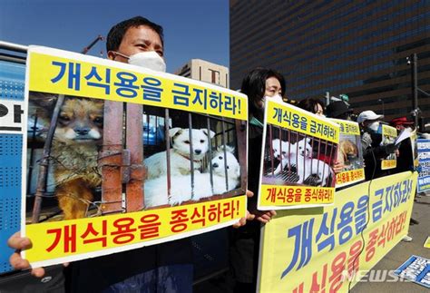 개식용 금지공약 촉구하는 동물단체 네이트 뉴스