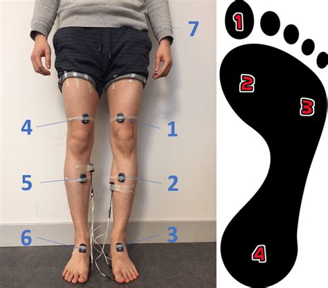 Placement Of Imu Sensors And Foot Switches Download Scientific Diagram