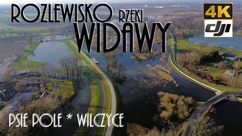 WIDAWA Psie Pole Wilczyce Rozlewisko Rzeki Widawy DJI Mini 3 Dji