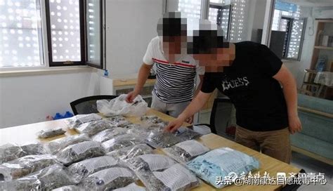 警方：小心新型致幻類毒蘑菇「金老師」潛入日常生活 每日頭條