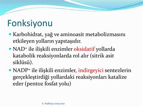 PPT Vitaminlerin Ortak Özellikleri ve Sınıflandırılması PowerPoint