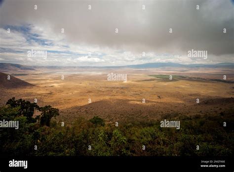 Ngorongoro Crater Wildlife Africa Tansania Stock Photo Alamy