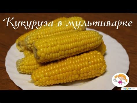 Кукуруза в мультиварке - готовим молодую и не очень кукурузу. - YouTube