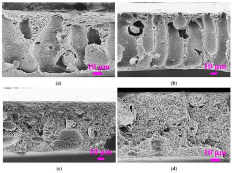 Membranes Free Full Text A Facile Method To Control Pore Structure Of Pvdfsio2 Composite