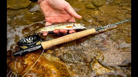 Small Stream Fly Fishing For Brook Trout Youtube