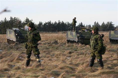 Ranks combat fied uniforms soldiers Danish army Denmark land ground ...