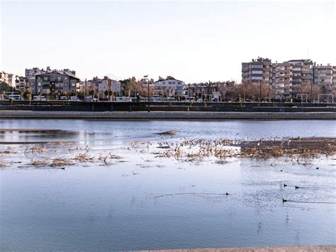 riverfront homes      riverfront homes stock