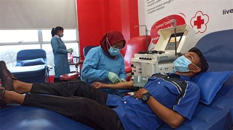 Pmi Medan Ajak Penyintas Covid Di Sumut Jadi Donor Plasma