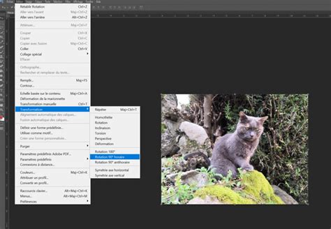 Comment Inverser Une Image Dans Photoshop Tuto Rapide