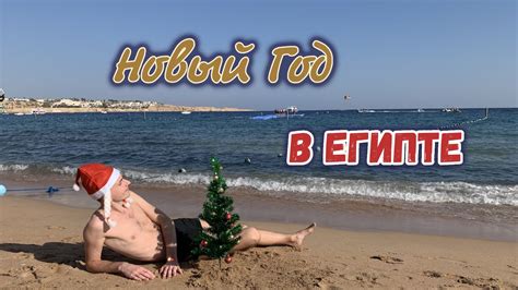 Новый Год в Египте. Шарм-эль-Шейх 2021. Экскурсия в Каир. - YouTube