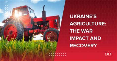 Ukraines Agricultural Sector The War Impact And Recovery Prospects