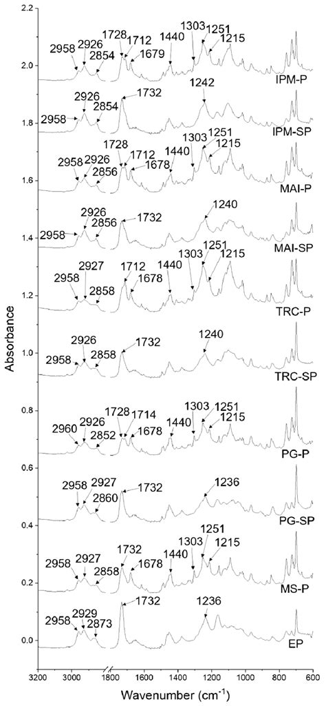 Atr−ftir Spectra Of Patches Formed Including Ep Without Solvent And Download Scientific